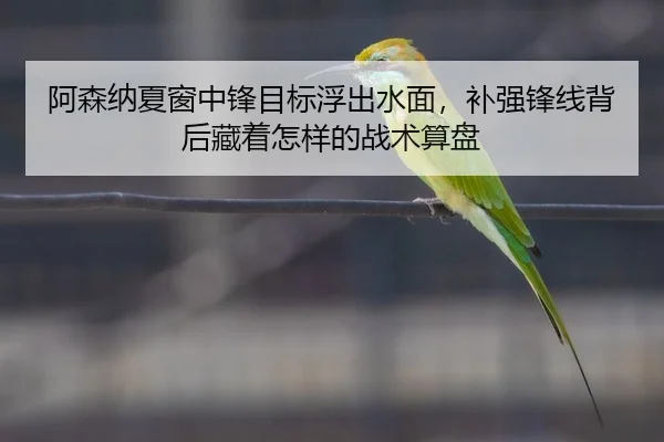 阿森纳夏窗中锋目标浮出水面，补强锋线背后藏着怎样的战术算盘
